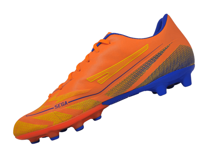 shoe 2