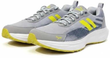 NOBEL GREY